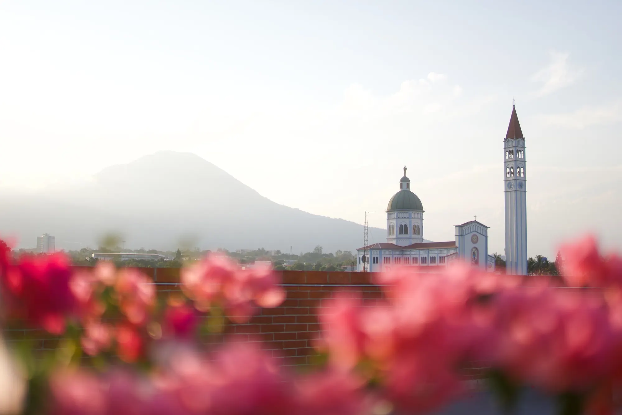 A domed church and bell tower below the San Salvador volcano, seen over bougainvillea from a rooftop